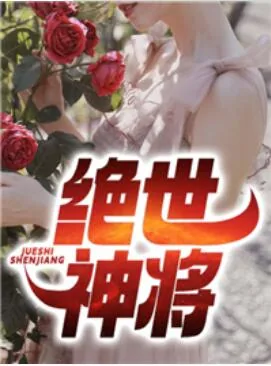 《绝世神将》小说封面
