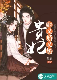 《贵妃她又娇又媚》小说封面