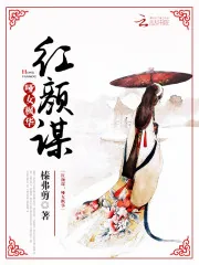 《红颜谋:哑女枫华》小说封面