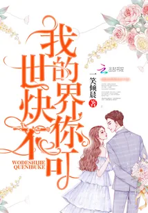 《我的世界炔你不可》小说封面