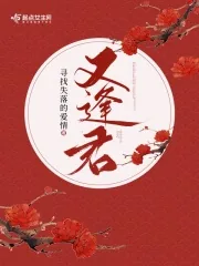 《又逢君》小说封面