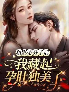 《和影帝分手后我藏起孕肚独美了》小说封面
