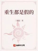 《双生灵路》小说封面