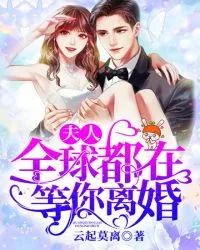《夫人，全球都在等你离婚》小说封面