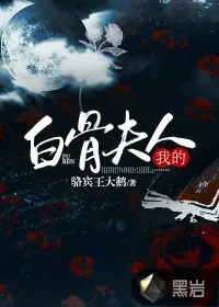 《我的白骨夫人》小说封面