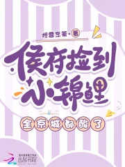《侯府捡到小锦鲤，全京城都酸了》小说封面
