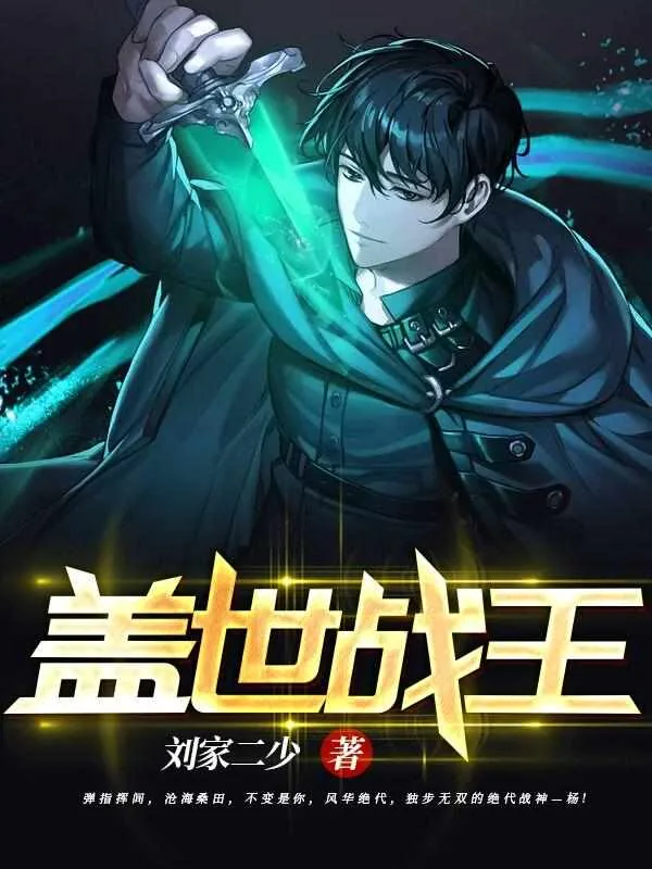 《无双神婿》小说封面