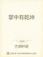 《掌中有乾坤》小说封面