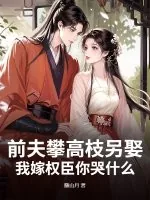 《前夫攀高枝另娶,我嫁权臣你哭什么》小说封面