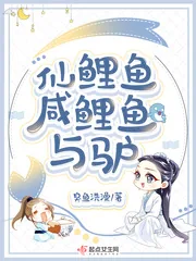《仙鲤鱼咸鲤鱼与驴》小说封面