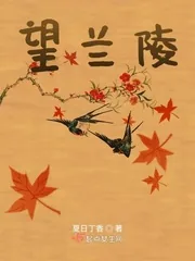 《望兰陵》小说封面