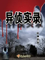 《异侦实录》小说封面