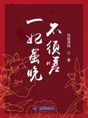 《一妃虽晚不须嗟》小说封面