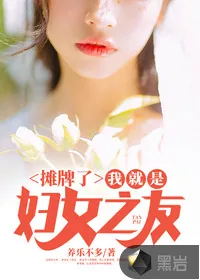 《摊牌了，我就是妇女之友》小说封面