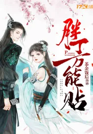 《胖丁万能贴》小说封面