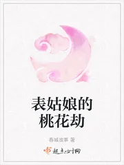 《表姑娘的桃花劫》小说封面
