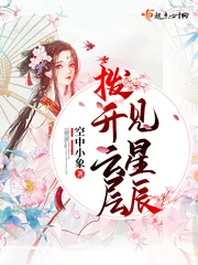 《拨开云层见星辰》小说封面