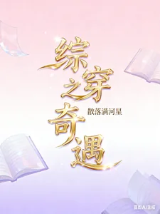 《综穿之奇遇》小说封面
