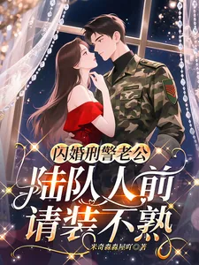 《闪婚刑警老公,陆队人前请装不熟》小说封面