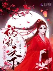 《夫人她总想祸乱天下》小说封面