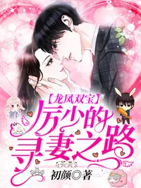 《龙凤双宝:厉少的寻妻之路》小说封面