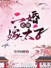 《二婚必须嫁太子》小说封面
