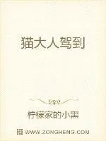《猫大人驾到》小说封面