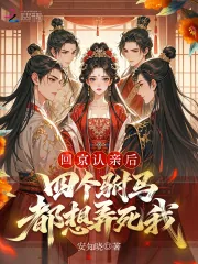 《回京认亲后,四个驸马都想弄死我》小说封面