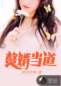 《赘婿当道》小说封面