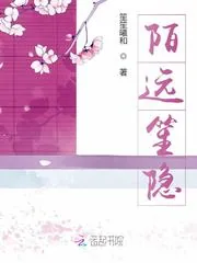 《陌远笙隐》小说封面