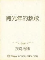 《跨光年的救赎》小说封面