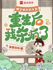 《搬空侯府毁东宫，重生后我杀疯了》小说封面