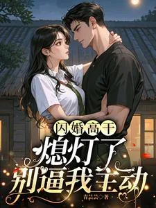 《闪婚高干:熄灯了,别逼我主动》小说封面