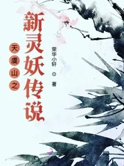 《天虞山之新灵妖传说》小说封面