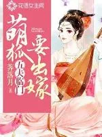 《五夫临门:萌狐要出嫁》小说封面
