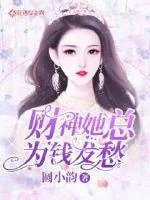 《财神她总为钱发愁》小说封面