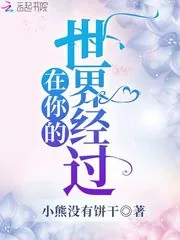 《在你的世界经过》小说封面
