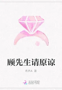 《顾先生请原谅》小说封面