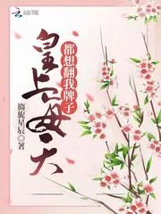 《皇上每天都想翻我牌子》小说封面
