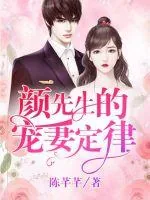 《颜先生的宠妻定律》小说封面