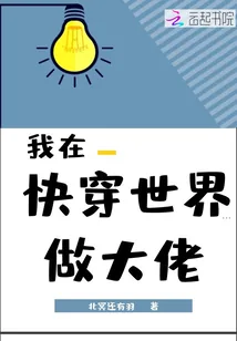 《我在快穿世界做大佬》小说封面