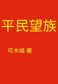 《平民望族》小说封面