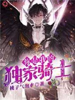 《你是我的独家骑士》小说封面