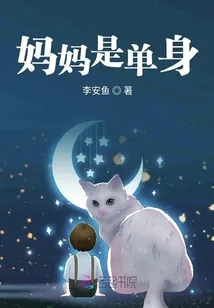 《妈妈是单身》小说封面