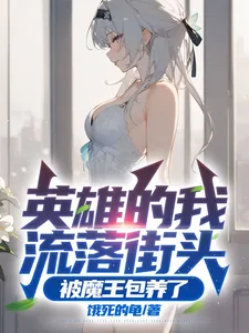 《英雄的我流落街头,被魔王包养了》小说封面
