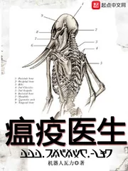 《瘟疫医生》小说封面