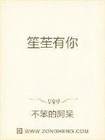 《笙笙有你》小说封面