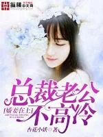 《娇妻在上：总裁老公不高冷》小说封面
