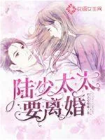 《陆少，太太要离婚》小说封面