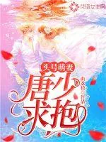 《头号萌妻：唐少，求抱！》小说封面